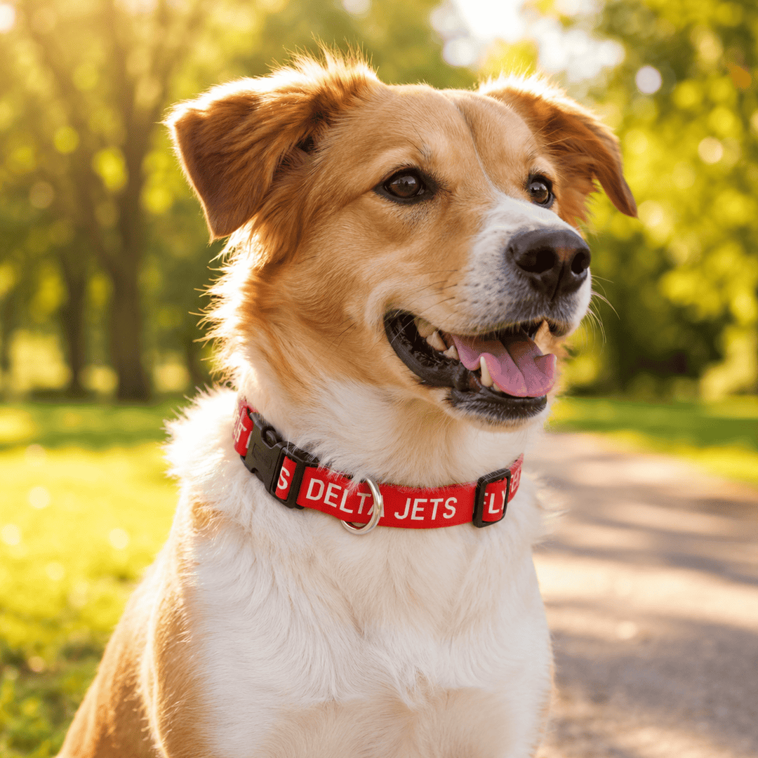 Fly Delta Jets Pet Collar