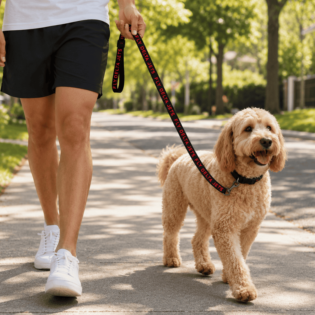 Fly Delta Jets Pet Leash