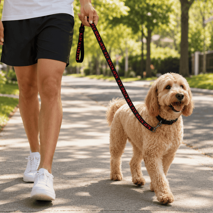 Fly Delta Jets Pet Leash